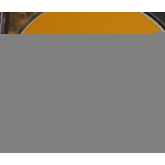 Rocco Deluca & The Burden I Trust You to Kill Me CD - Picture 3 of 4